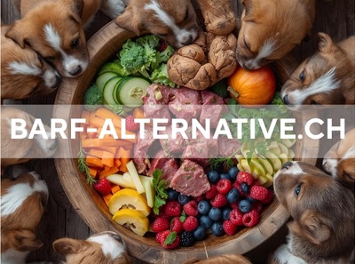 Start page image for sales-partner's sales-channel