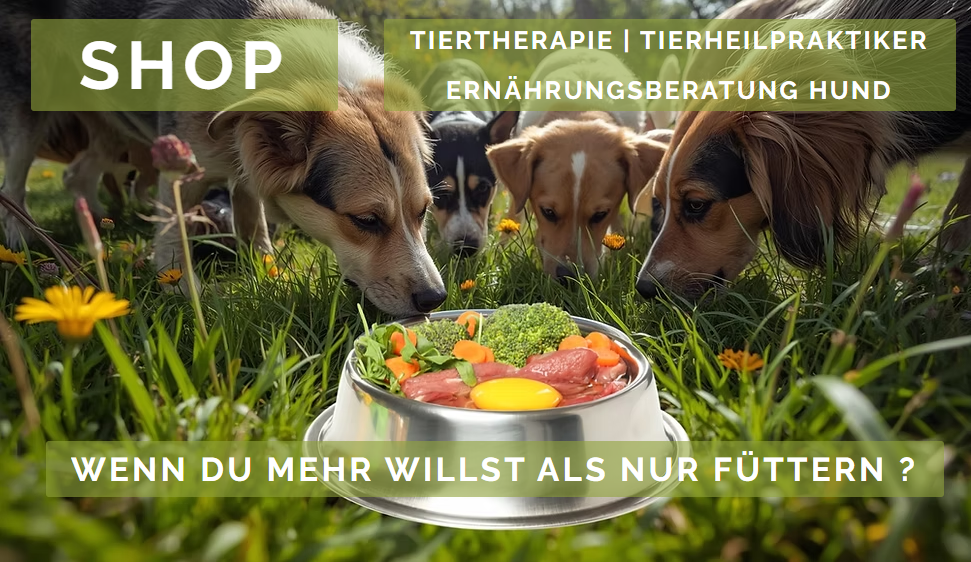 Start page image for sales-partner's sales-channel